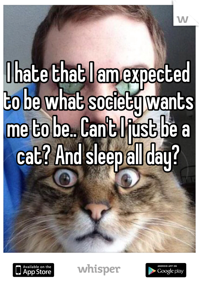 I hate that I am expected to be what society wants me to be.. Can't I just be a cat? And sleep all day? 