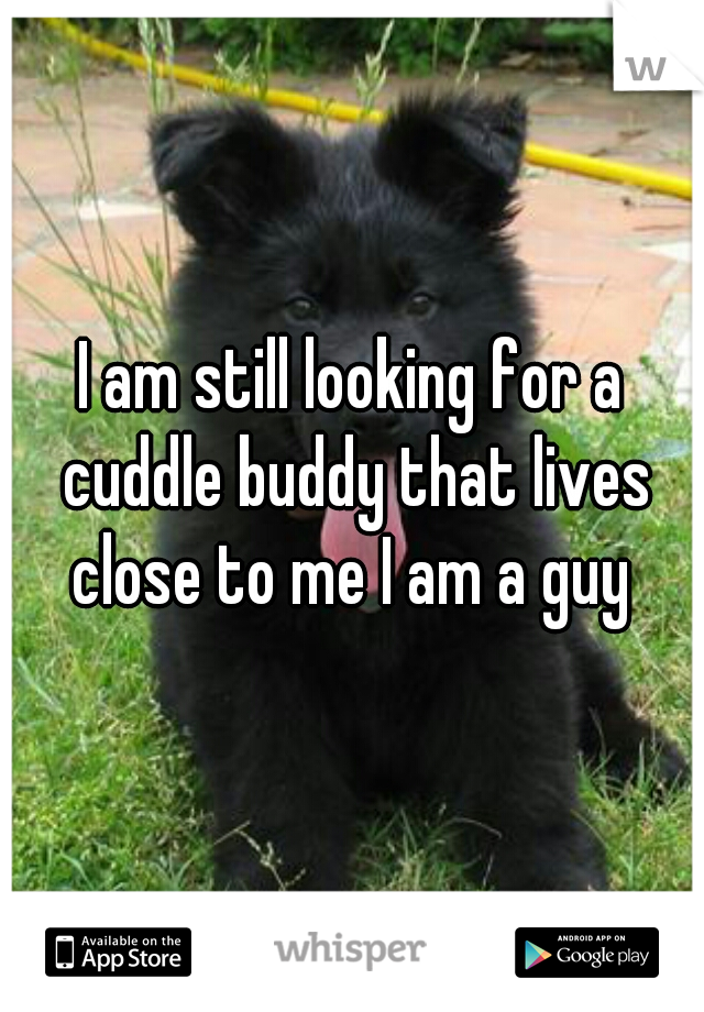 I am still looking for a cuddle buddy that lives close to me I am a guy 