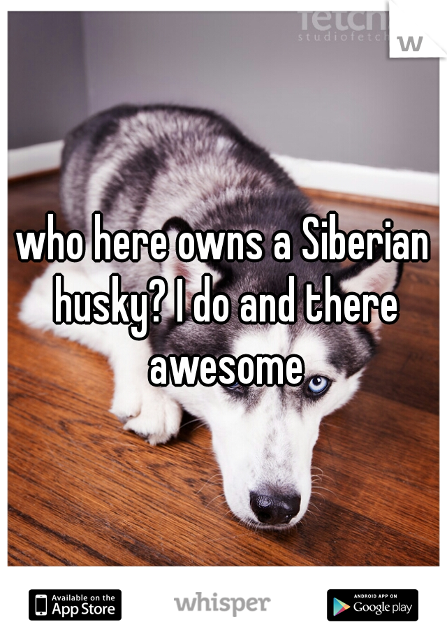 who here owns a Siberian husky? I do and there awesome
