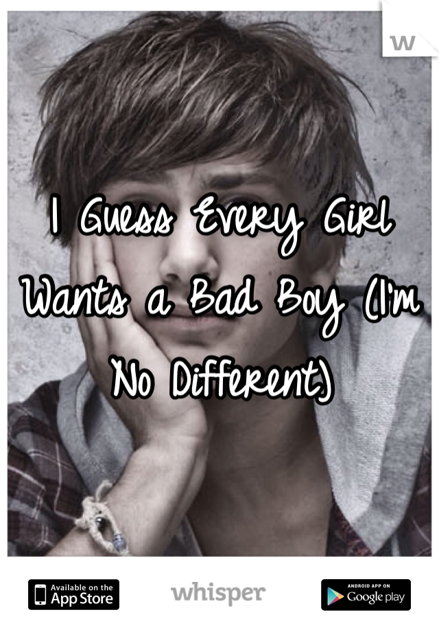 I Guess Every Girl Wants a Bad Boy (I'm No Different)