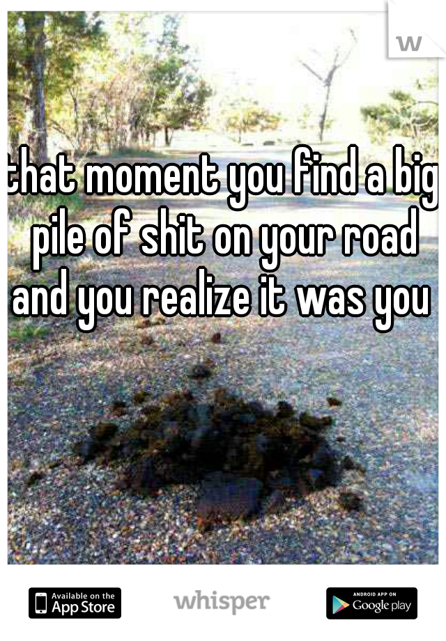that moment you find a big pile of shit on your road and you realize it was you 