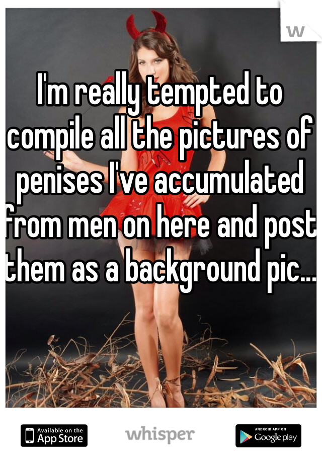 I'm really tempted to compile all the pictures of penises I've accumulated from men on here and post them as a background pic...