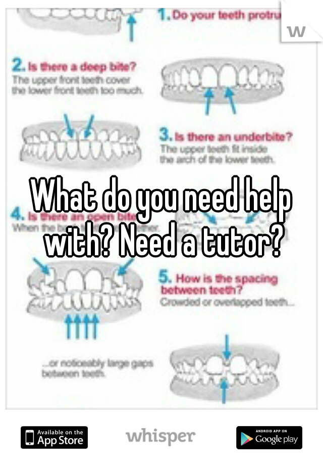 What do you need help with? Need a tutor?