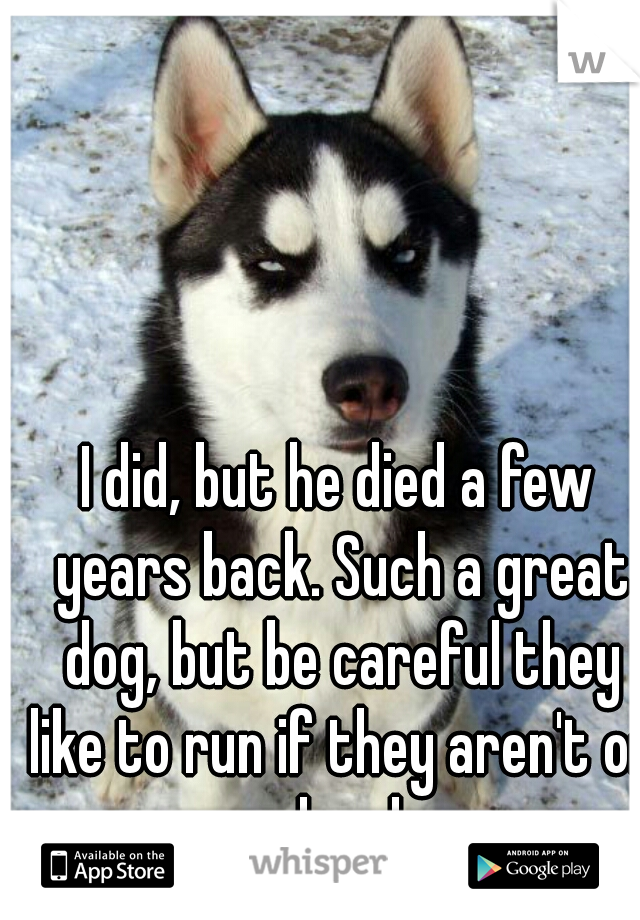 I did, but he died a few years back. Such a great dog, but be careful they like to run if they aren't on a leash.