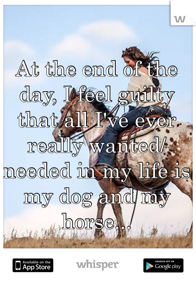 At the end of the day, I feel guilty that all I've ever really wanted/needed in my life is my dog and my horse... 
