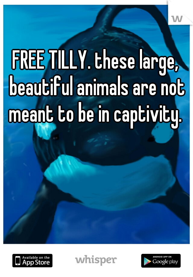FREE TILLY. these large, beautiful animals are not meant to be in captivity. 