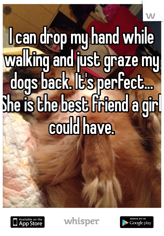 I can drop my hand while walking and just graze my dogs back. It's perfect... She is the best friend a girl could have.