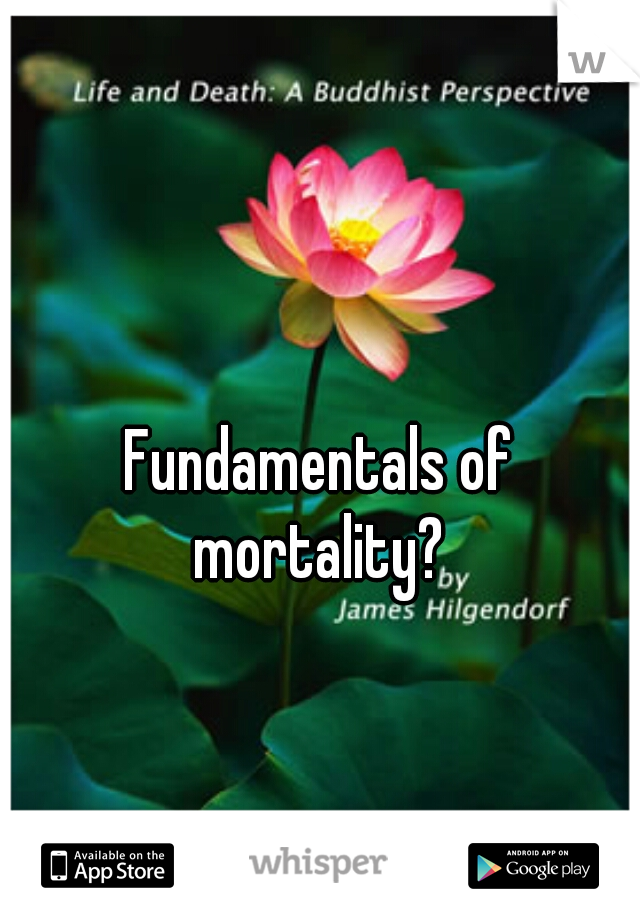 Fundamentals of mortality? 