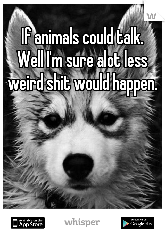 If animals could talk.
Well I'm sure alot less weird shit would happen.