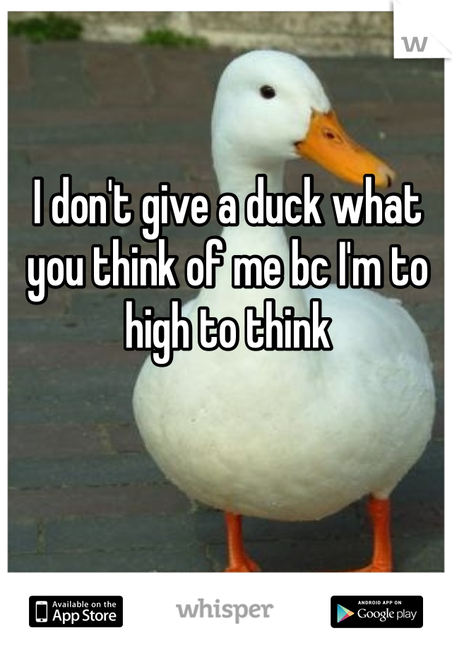 I don't give a duck what you think of me bc I'm to high to think