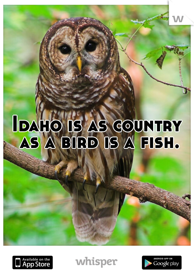 Idaho is as country as a bird is a fish. 