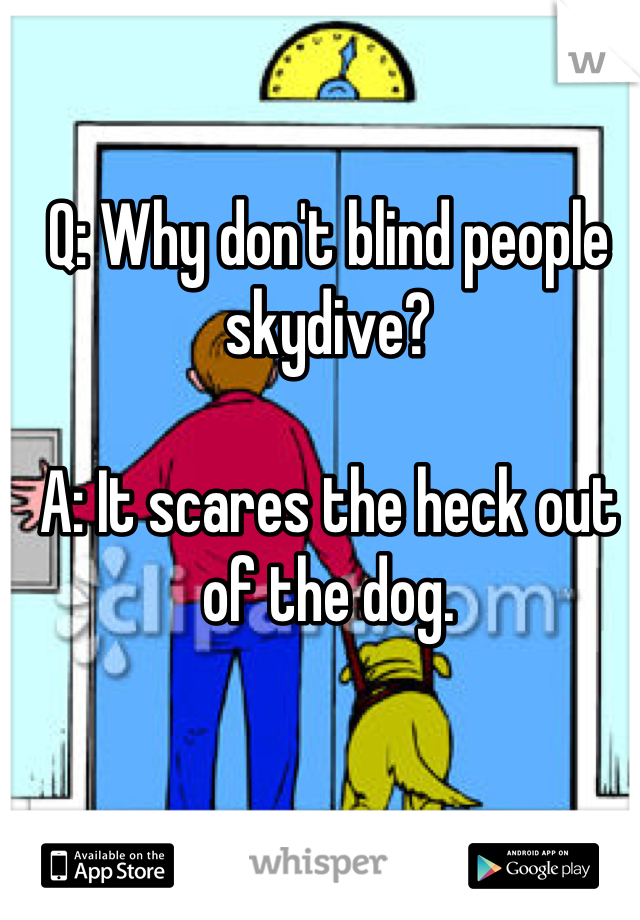 Q: Why don't blind people skydive? 

A: It scares the heck out of the dog.

