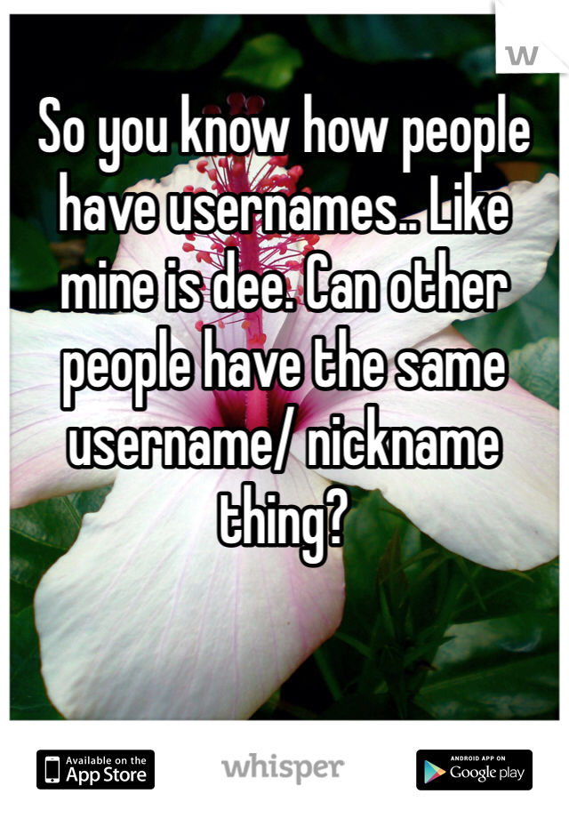 So you know how people have usernames.. Like mine is dee. Can other people have the same username/ nickname thing? 