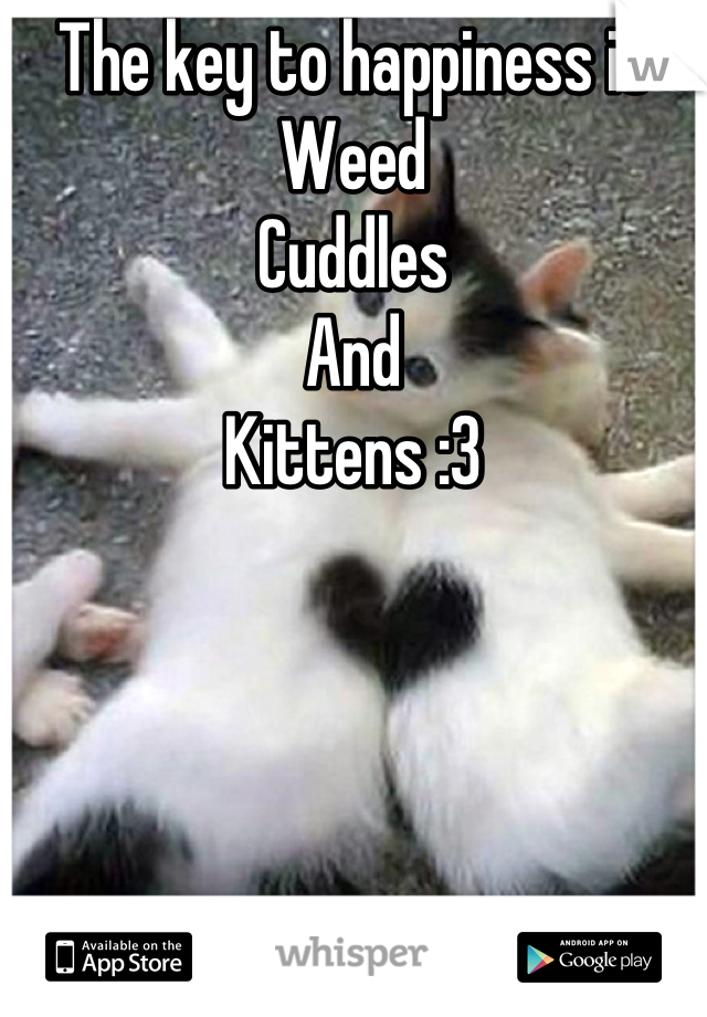 The key to happiness is
Weed
Cuddles
And
Kittens :3