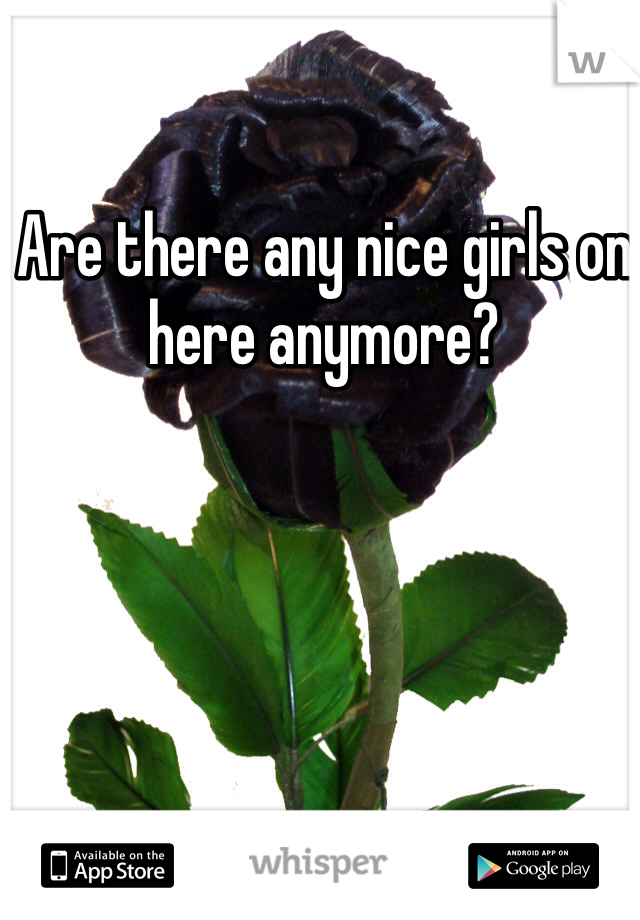 Are there any nice girls on here anymore?