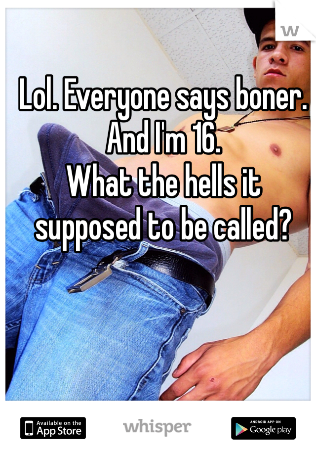 Lol. Everyone says boner. And I'm 16. 
What the hells it supposed to be called?
