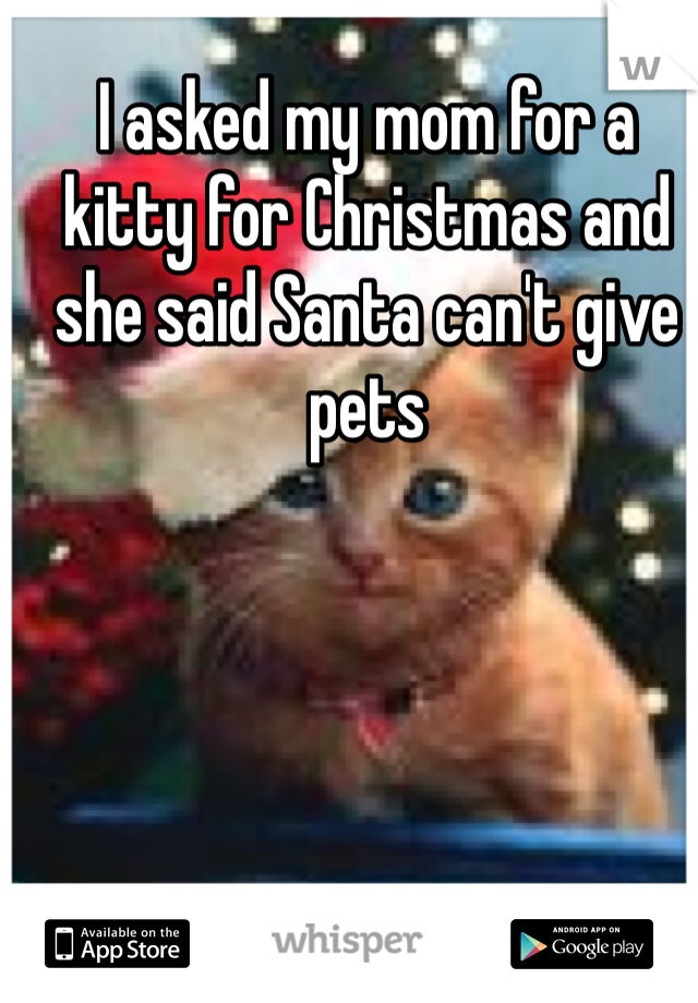 I asked my mom for a kitty for Christmas and she said Santa can't give pets
