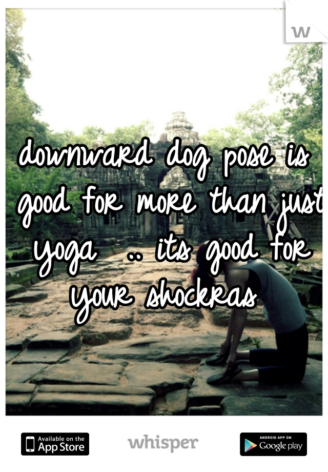 downward dog pose is good for more than just yoga  .. its good for your shockras 
