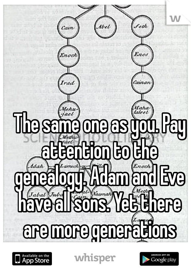 The same one as you. Pay attention to the genealogy. Adam and Eve have all sons. Yet there are more generations listed. Incest. 