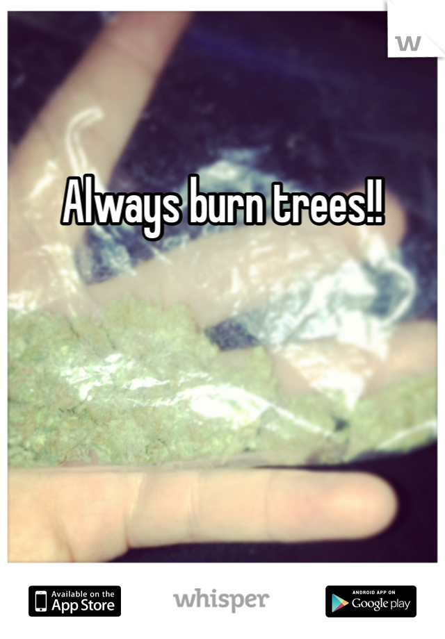 Always burn trees!!