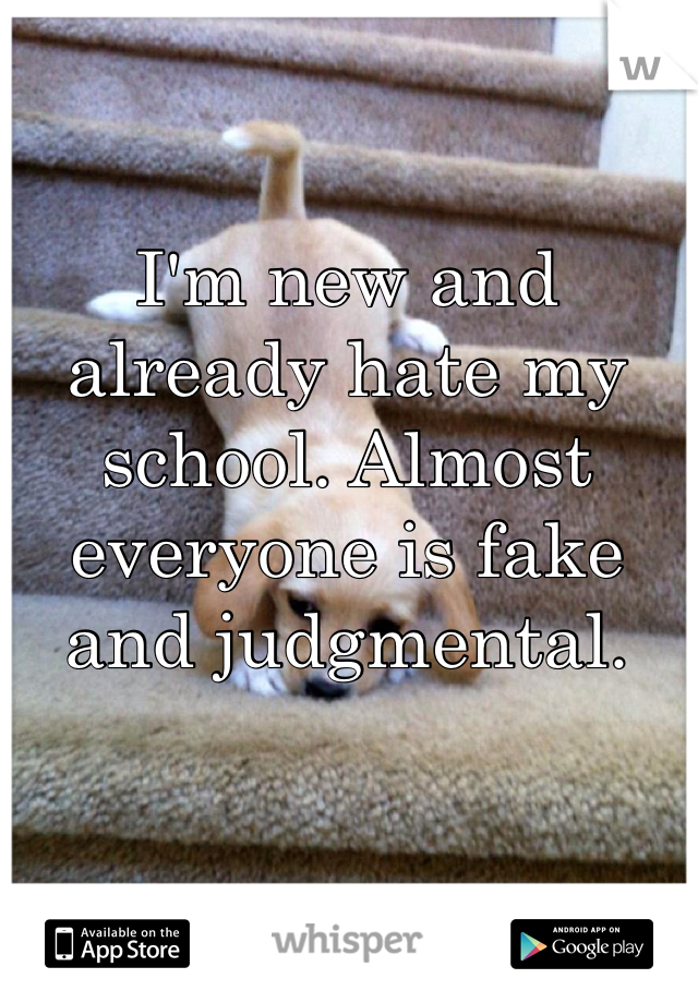 I'm new and already hate my school. Almost everyone is fake and judgmental. 