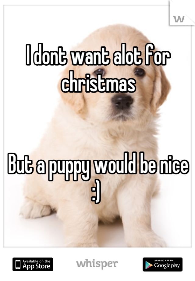 I dont want alot for christmas 


But a puppy would be nice :) 