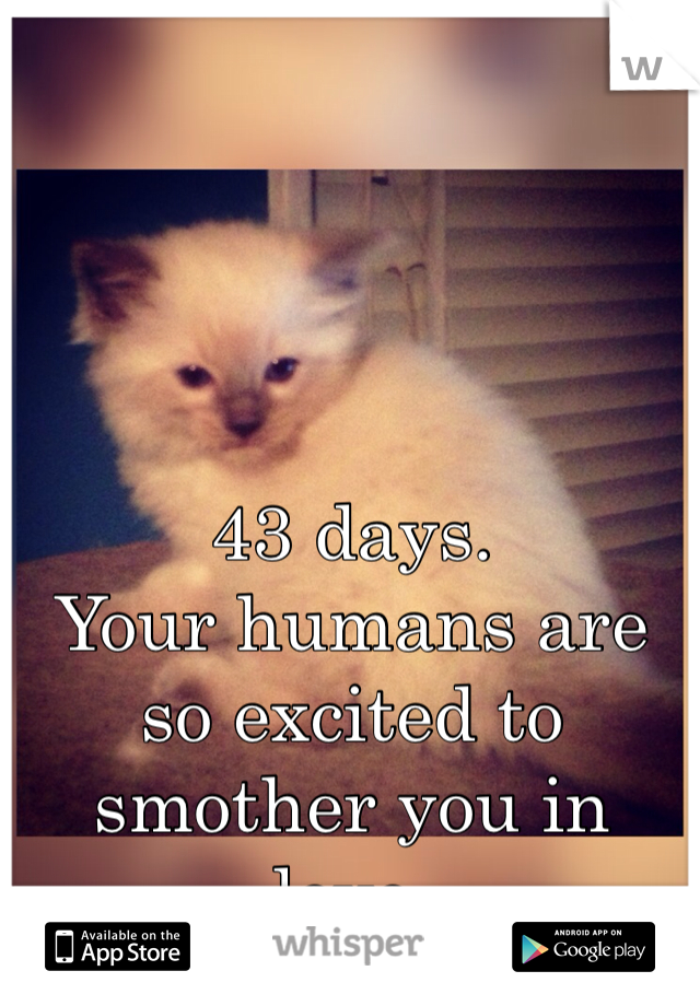 43 days.
Your humans are so excited to smother you in love.