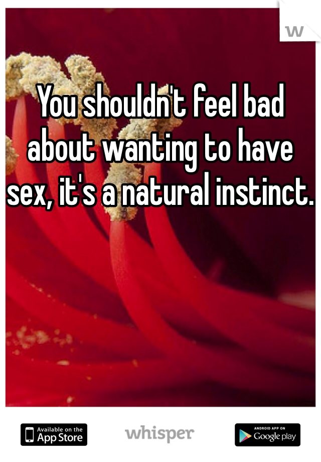 You shouldn't feel bad about wanting to have sex, it's a natural instinct.