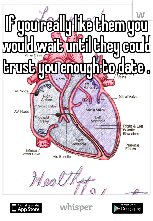 If you really like them you would wait until they could trust you enough to date . 