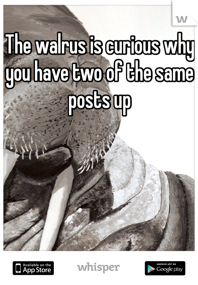 The walrus is curious why you have two of the same posts up 