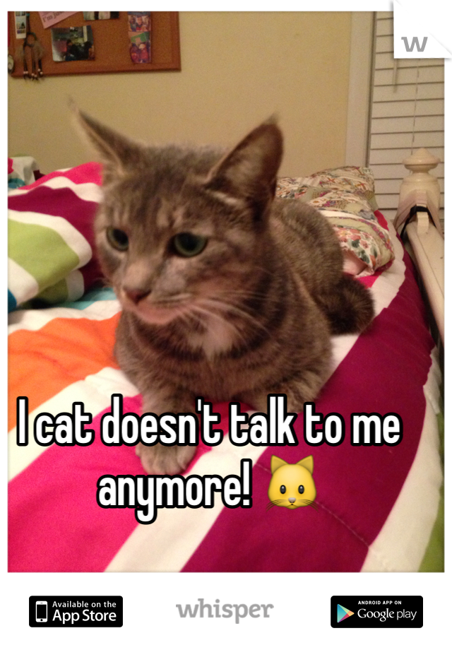 I cat doesn't talk to me anymore! 🐱