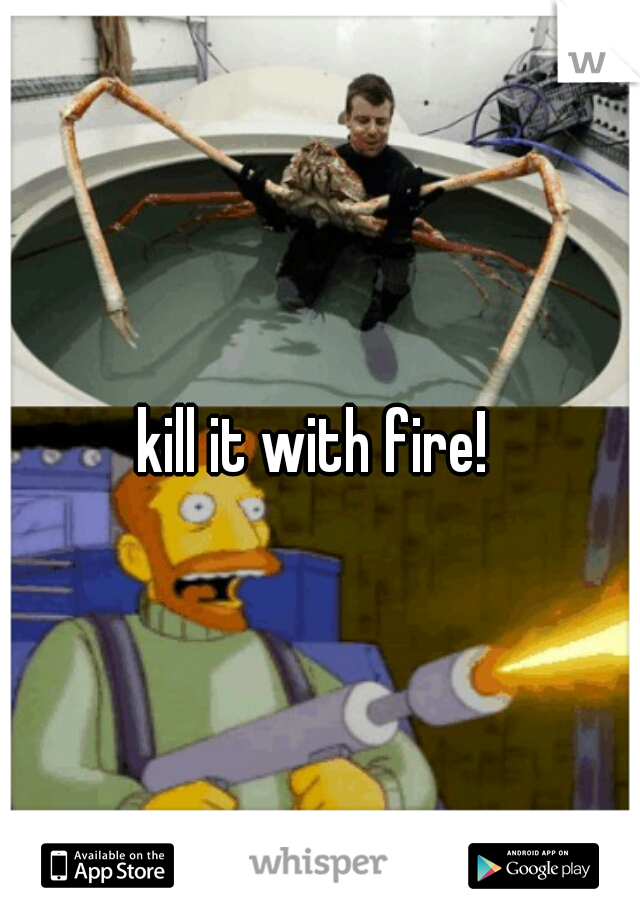 kill it with fire! 