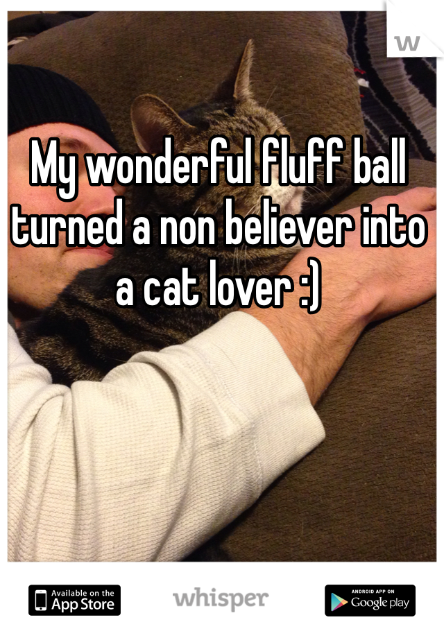 My wonderful fluff ball turned a non believer into a cat lover :)