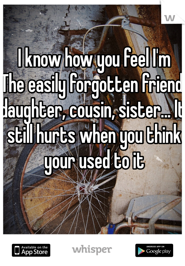 I know how you feel I'm 
The easily forgotten friend, daughter, cousin, sister... It still hurts when you think your used to it 