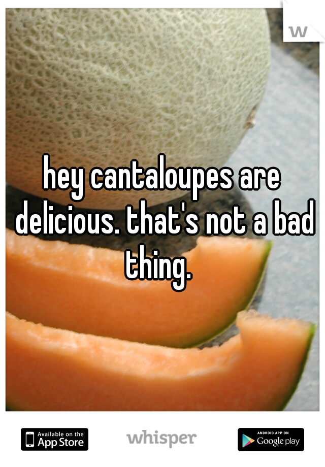hey cantaloupes are delicious. that's not a bad thing.  