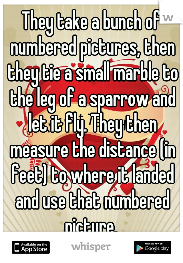 They take a bunch of numbered pictures, then they tie a small marble to the leg of a sparrow and let it fly. They then measure the distance (in feet) to where it landed and use that numbered picture. 