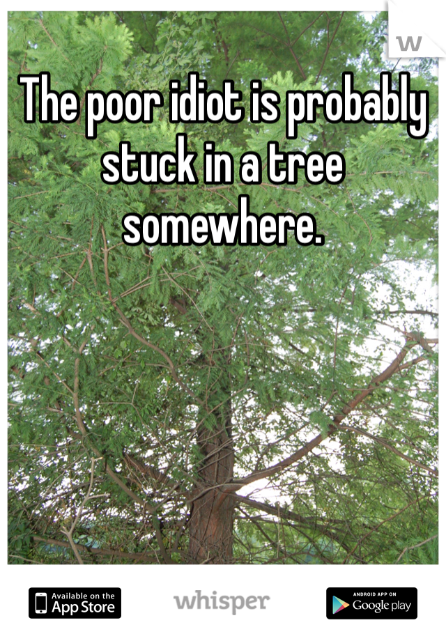 The poor idiot is probably stuck in a tree somewhere. 