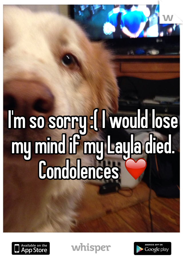 I'm so sorry :( I would lose my mind if my Layla died. Condolences ❤️