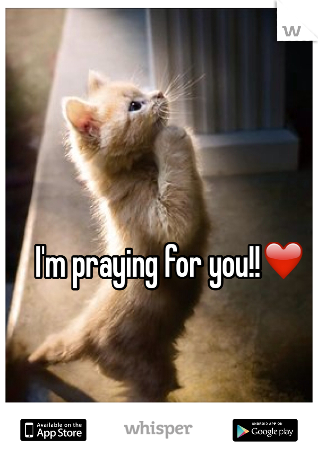I'm praying for you!!❤️