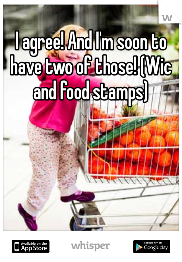 I agree! And I'm soon to have two of those! (Wic and food stamps)