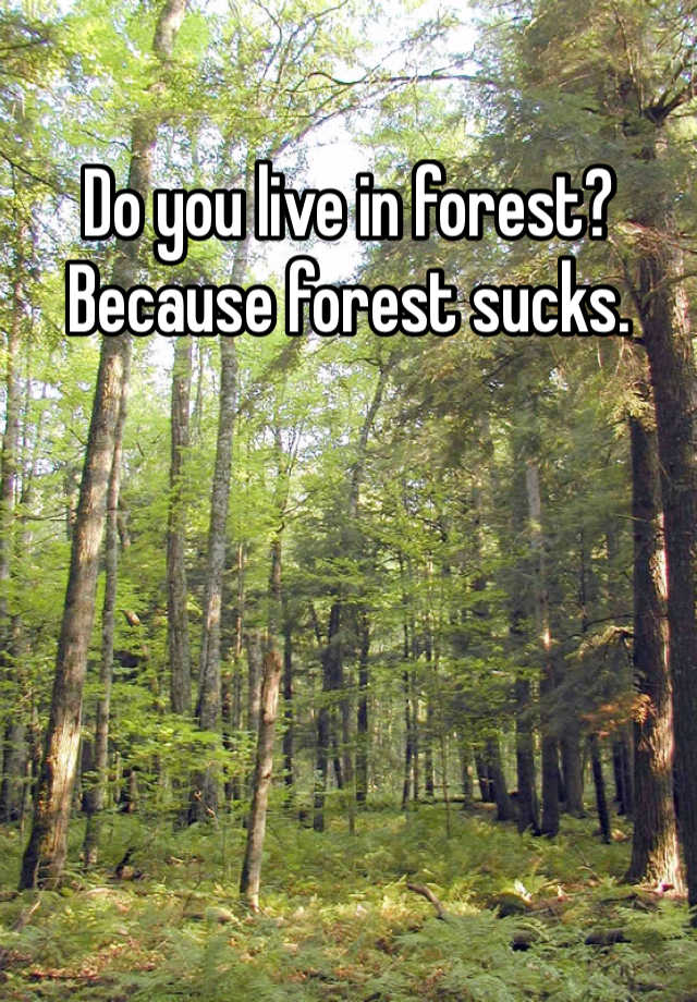 Do you live in forest? Because forest sucks.