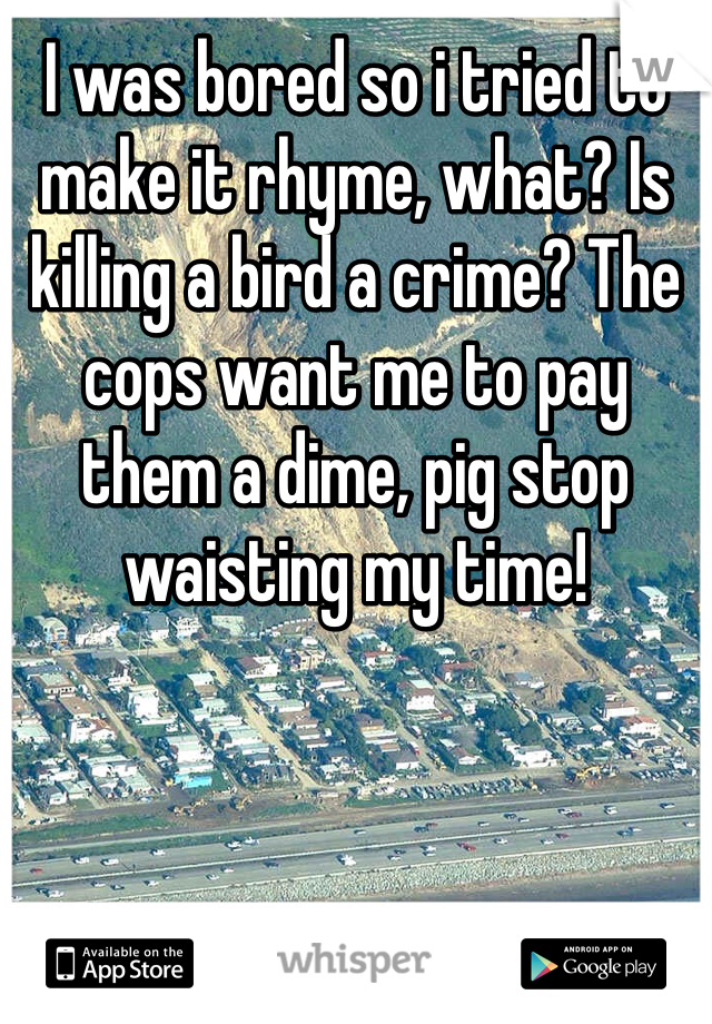 I was bored so i tried to make it rhyme, what? Is killing a bird a crime? The cops want me to pay them a dime, pig stop waisting my time!