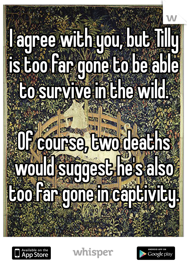 I agree with you, but Tilly is too far gone to be able to survive in the wild. 

Of course, two deaths would suggest he's also too far gone in captivity. 