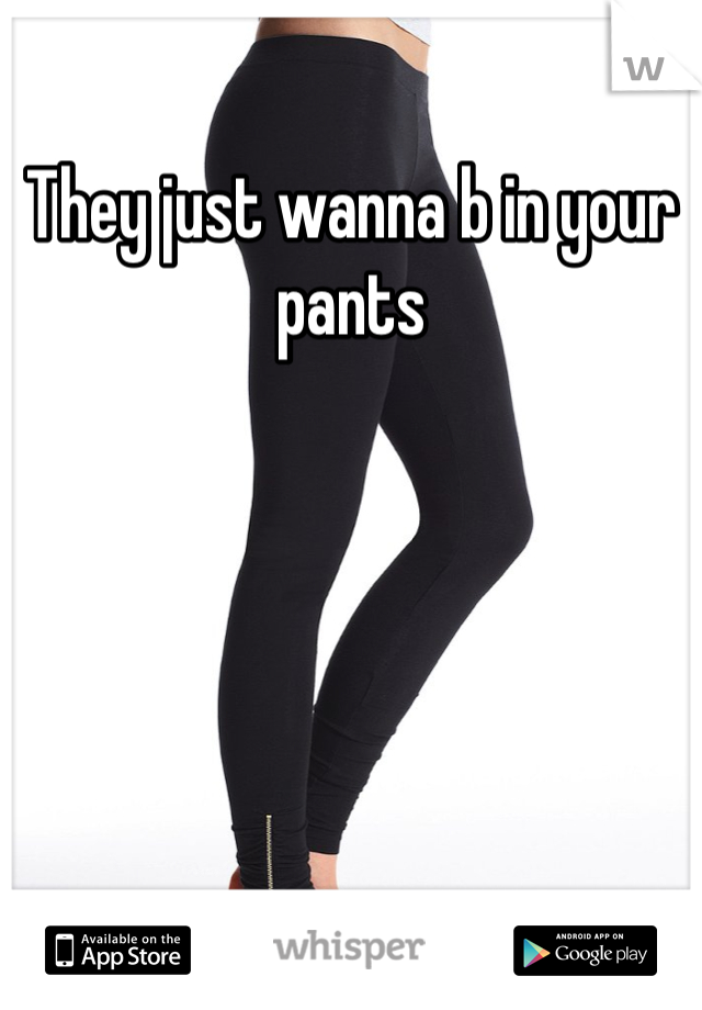 They just wanna b in your pants