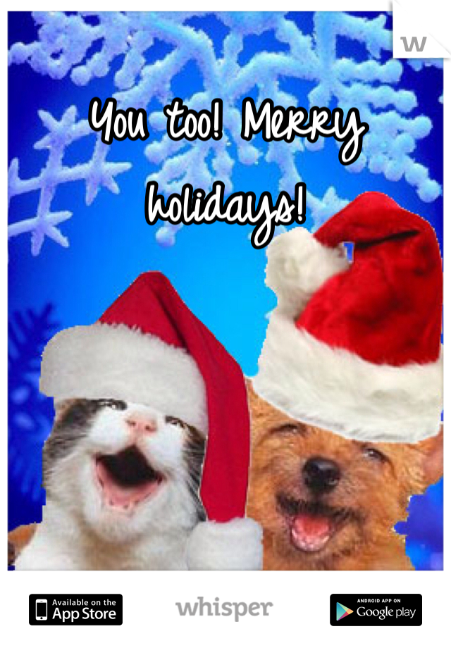 You too! Merry holidays!