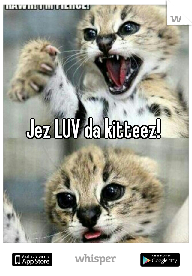 Jez LUV da kitteez! 