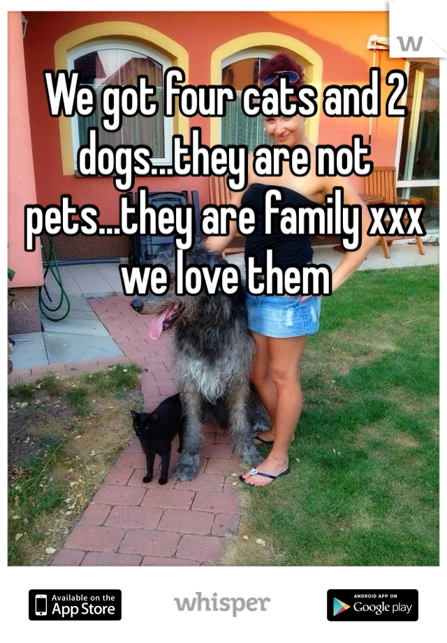 We got four cats and 2 dogs...they are not pets...they are family xxx we love them 