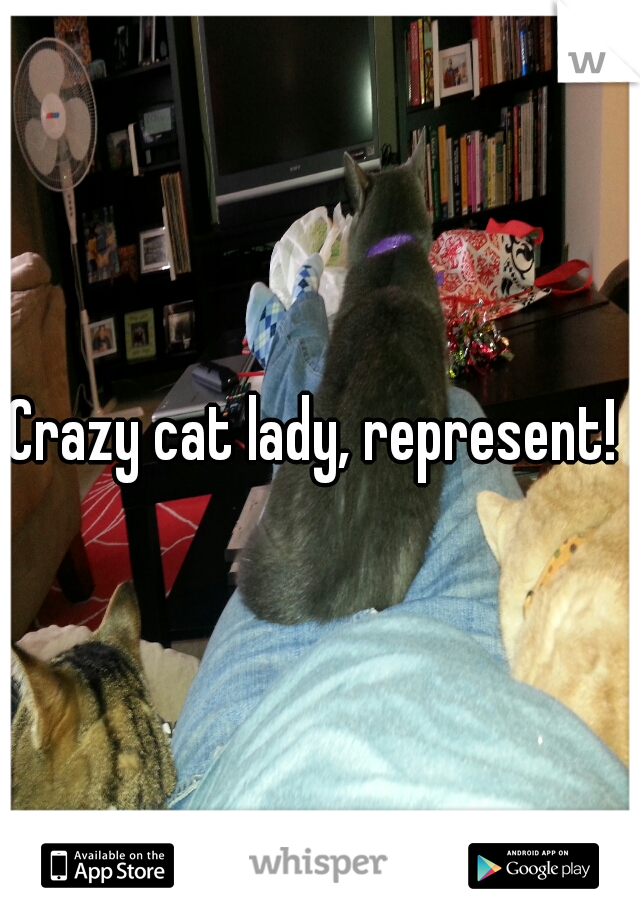 Crazy cat lady, represent! 