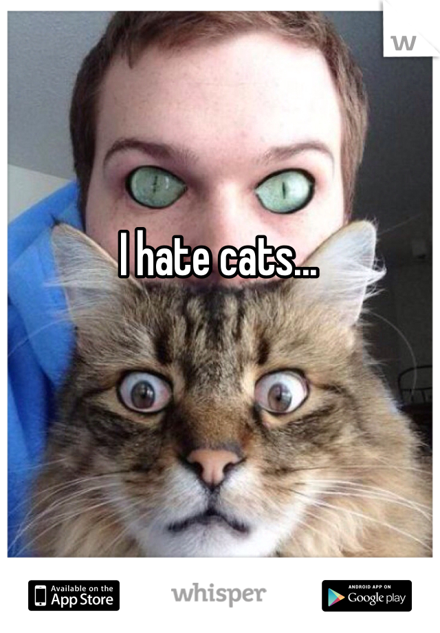 I hate cats...