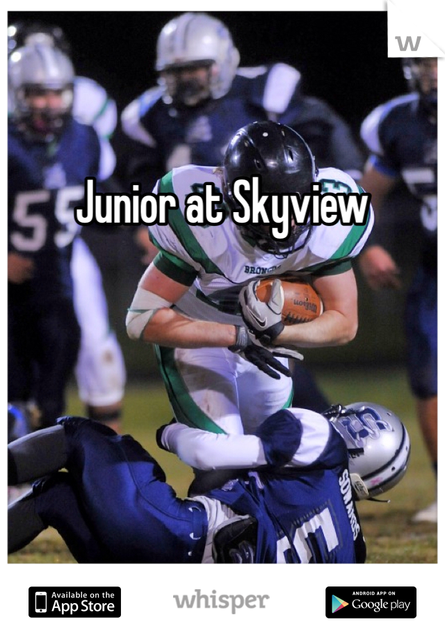 Junior at Skyview